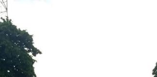 BREAKING NEWS: Angry Mob Unleashes Mayhem On Covid-19 Taskforce