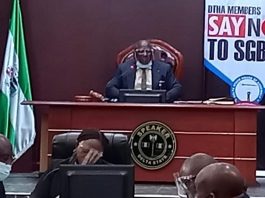 INSECURITY: Bill To Set Up Local Security Outfit Passes Second Reading