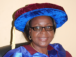 EXPOSED: Provost Spends Whooping Sum Of N36 Million On Toilet In Delta, Justifies Amount