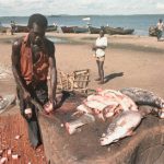 Man Stabs Brother To Death Over Firewood