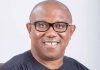 BREAKING NEWS: INEC Uploads Peter Obi’s Name As NDC Presidential Candidate Despite Court Ruling On Party Registration