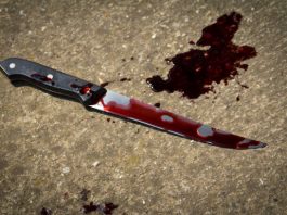 Tenant Allegedly Stabs Landlord