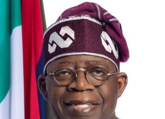 Zulum Applauds Tinubu Over N68bn Support For Maiduguri Emergency Power Plant