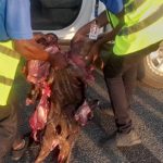 BREAKING NEWS: Antelope Collision Grounds Air Peace Plane At Asaba Airport