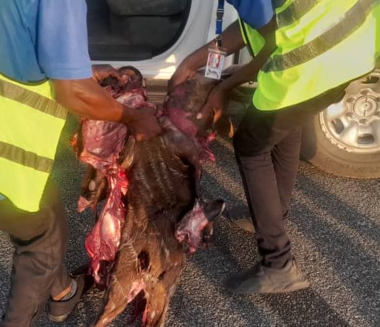 BREAKING NEWS: Antelope Collision Grounds Air Peace Plane At Asaba Airport