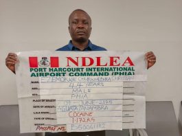 Iran-bound Bizman Nabbed At Port Harcourt Airport With 53 Wraps Of Cocaine