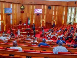 BREAKING NEWS: Senate Approves Creation Of 12 New States
