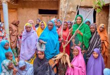 Cassava Production Holds Key To Youth Employment, Economic Growth – Hajiya Halima Danbatta