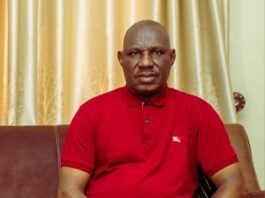 Support Democratic Process, Keep Faith In Elections, Ifeajika Urges Nigerians