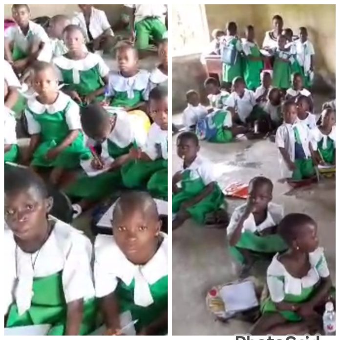 PhotoGrid_Site_1759351069542