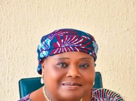 Karim Lamido Chair Faults Fresh Communal Clashes, Warns Against Escalation