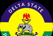 Delta Police Intensify Security Operations Ahead of Yuletide Festivities