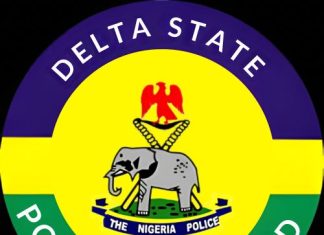 Delta Police Arrest Two Suspected Armed Robbers, Recover Pump Action Gun, Cartridge