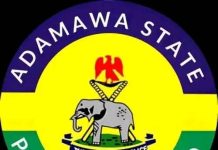 Two Arrested In Tribal Clash In Adamawa