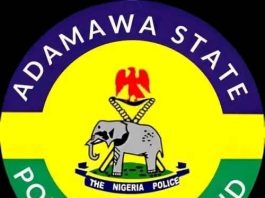 Adamawa Police Arrest Six, Recover Charms Amid Renewed Communal Tension In Lamurde