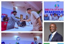 Senator Omo-Agege’s Appearance At Stakeholders Meeting Signals New Era Of Unity In Delta APC — Oghenesivbe