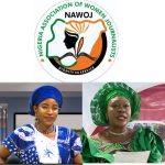 IWD 2026: NAWOJ South-South Calls For Concrete Action On Women’s Rights, Equality