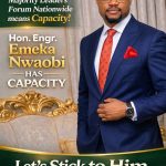 Diaspora Praises Nwaobi’s Legislative Impact, Backs Return Bid — Emeka Ijei