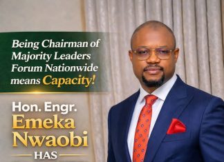 Diaspora Praises Nwaobi’s Legislative Impact, Backs Return Bid — Emeka Ijei