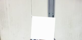 EFFURUN KILLING: Delta Police Move To Sanction Officer, Face Renewed Scrutiny Over Use Of Force