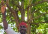 2027: Nwajei Declares For Delta Assembly, Promises Inclusive Representation