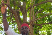 2027: Nwajei Declares For Delta Assembly, Promises Inclusive Representation