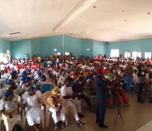 Massive Delta North Rallies Signal Rising Momentum For Nwoko’s 2027 Senate Return