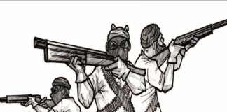 The Imperative Of Liberalizing Gun Ownership In Nigeria
