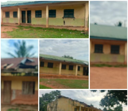 The Troubling State Of Isian-Anwai Primary School In Delta