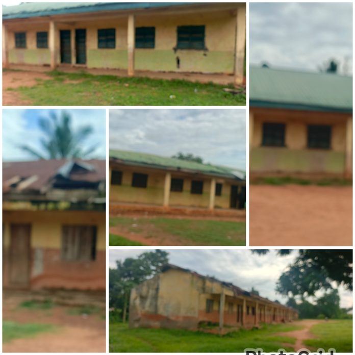 PhotoGrid_Site_1781453650803