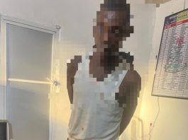 Police Arrest Wanted Cult Suspect, Recover Four Locally Made Firearms In Delta