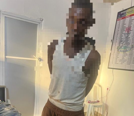 Police Arrest Wanted Cult Suspect, Recover Four Locally Made Firearms In Delta