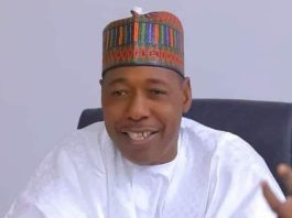 ZULUM: Poverty Reduction Must Be Central To Nigeria’s Security Strategy