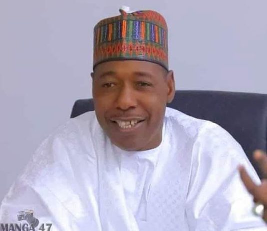 Zulum Seeks Fresh Push For Borno Oil Exploration After Kolmani Revival