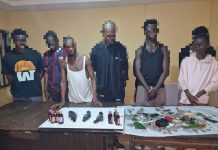 Police Rescue Kidnap Victim, Arrest Eight Suspects, Recover Firearms, Illicit Drugs In Delta
