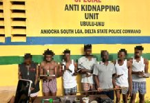 Police Arrest Nine Suspected Cultists, Recover Two Locally Made Guns In Delta