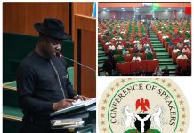 Constitution Review: State Assemblies Await Bills, Guwor Pledges National Interest