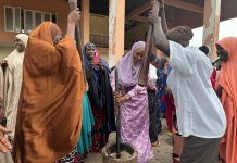 Kasuwan Magani Revives Old Traditions In Fresh Push For Peace