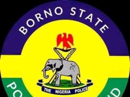 BREAKING NEWS: Five Arrested Over Alleged Thuggery