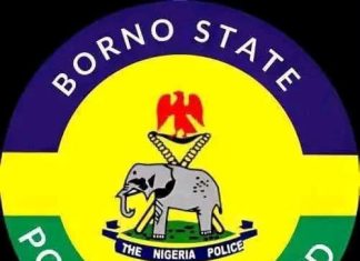 BREAKING NEWS: Five Arrested Over Alleged Thuggery