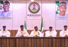 North-East Governors Seek Faster Mambila Hydropower Development