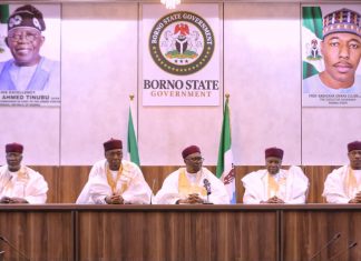 North-East Governors Seek Faster Mambila Hydropower Development